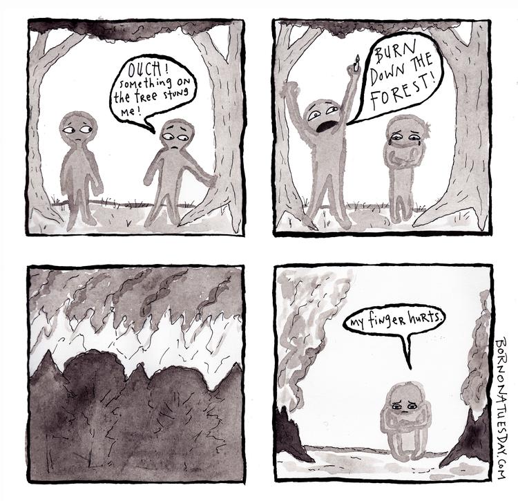 maybe there are times when the forest needs to be burned down, but I would like to question our collective impulse to reach for the matches immediately when the sting is felt